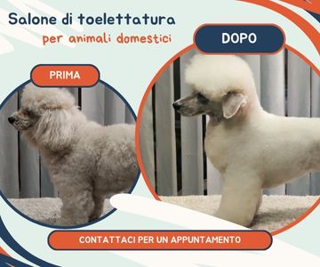 Salone di toelettatura