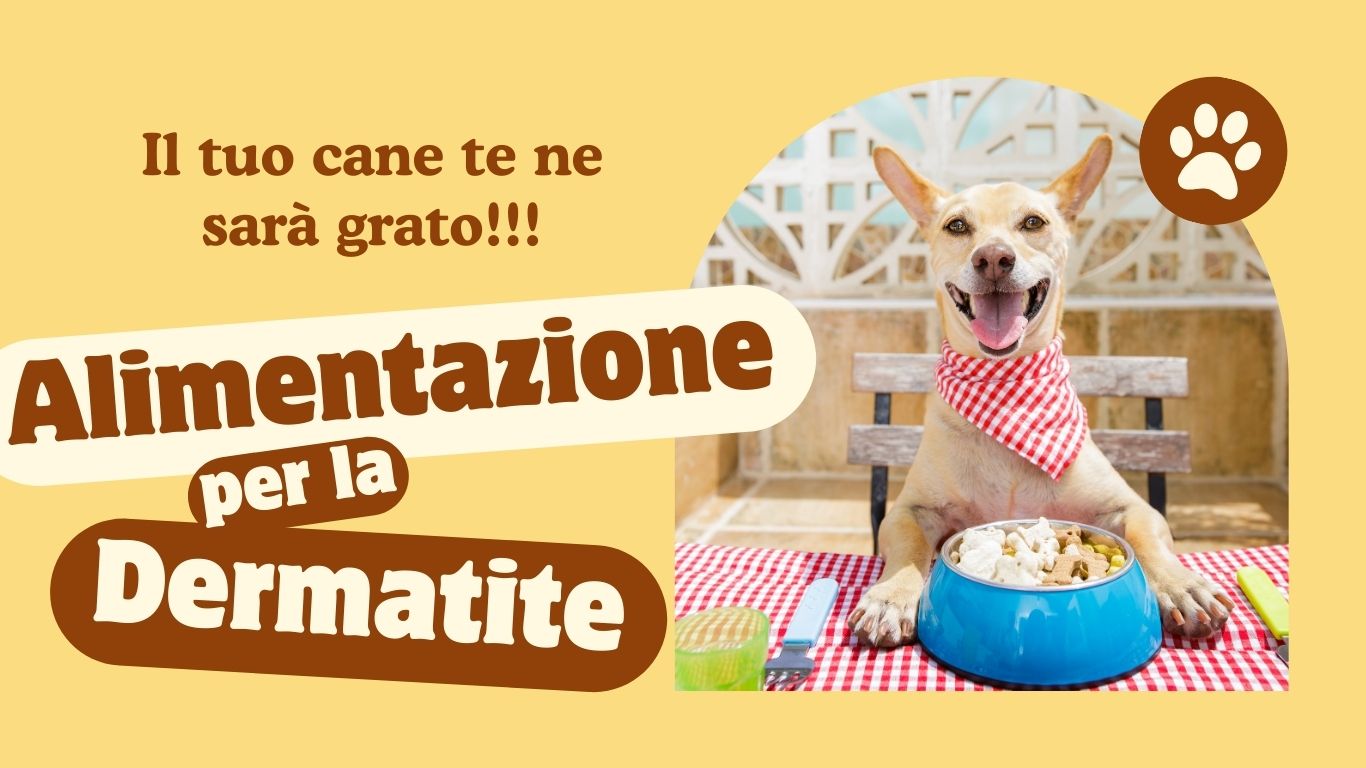 alimentazione per dermatite banner